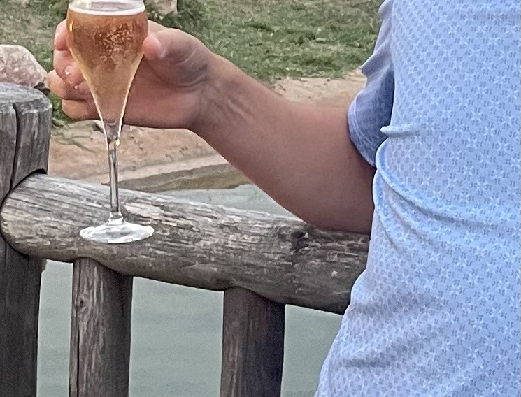 Profil de Elyott, 48 ans, Speed Dating Suisse à Vezio