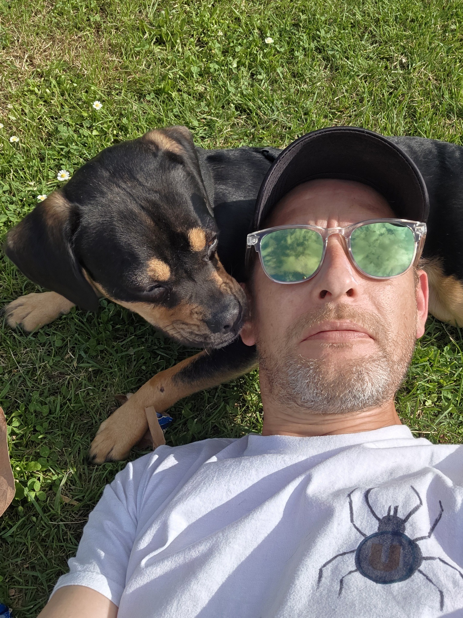 Profil de Mouad, 39 ans, Speed Dating Suisse à Sévery